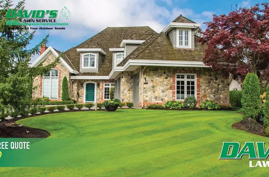 Top Residential Snow Removal Services Near Me for Reliable Winter Property Care