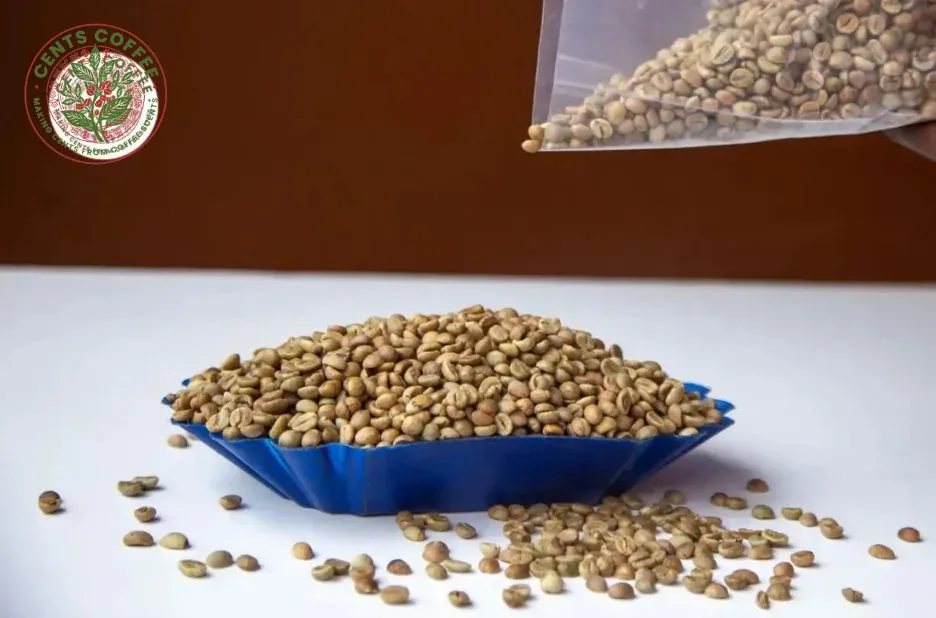 Premium Green Coffee Bean Selection Uganda for Specialty Roasters