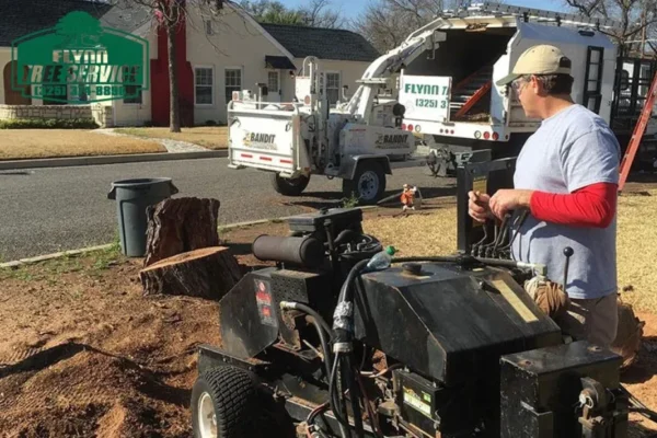Deep Root Fertilization Techniques to Enhance Tree Growth and Health