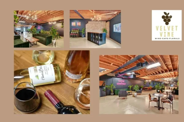 Best Wine Bars In Las Vegas | Velvetvinewine.com
