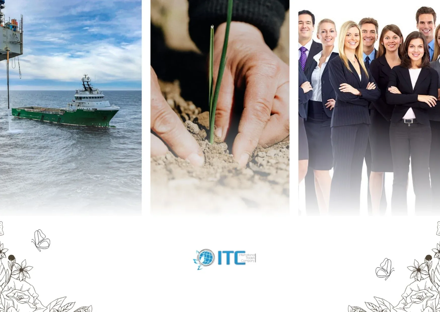 Top Ammonium Sulphate Supplier In Egypt | Reliable Quality & Service