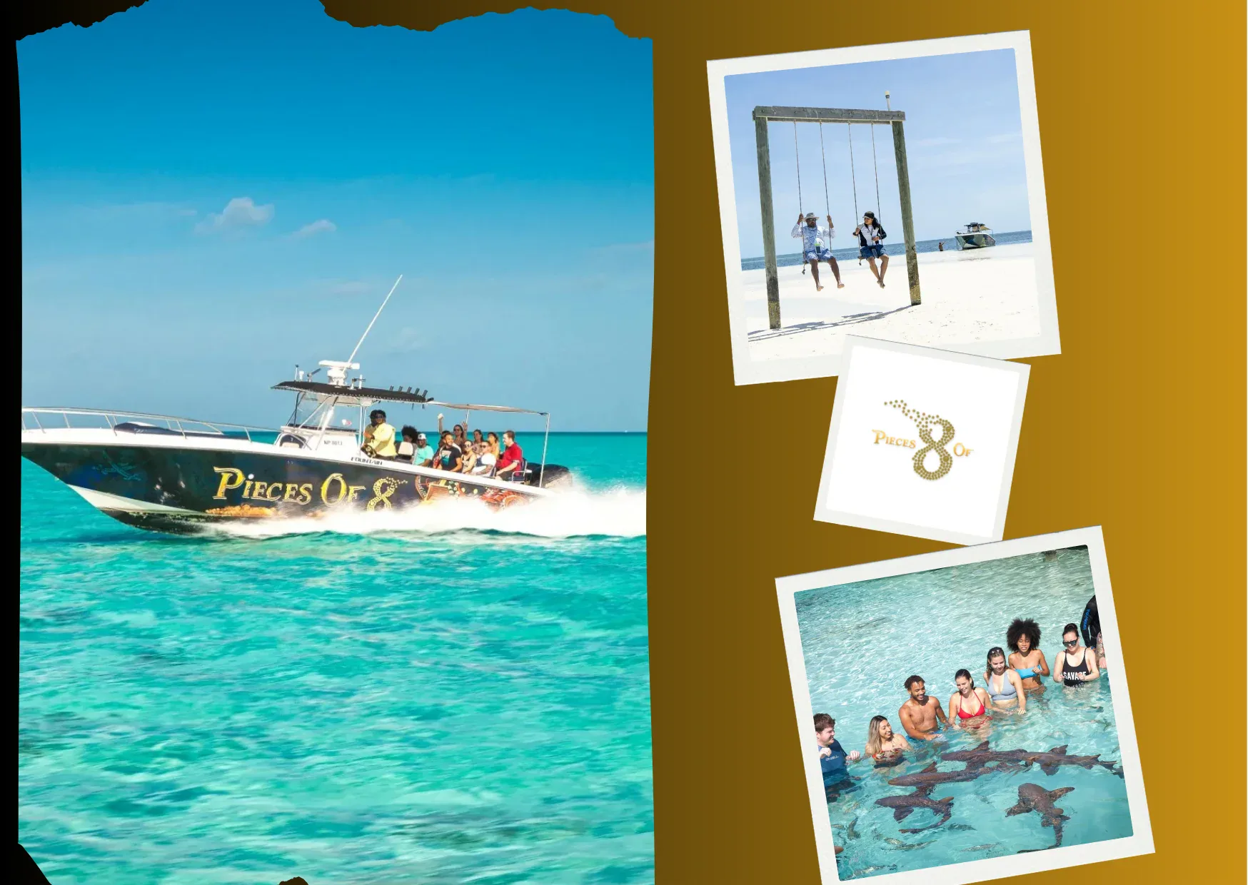 Swimming Pigs Nassau: Ultimate Guide to Swimming with Pigs in Nassau Bahamas