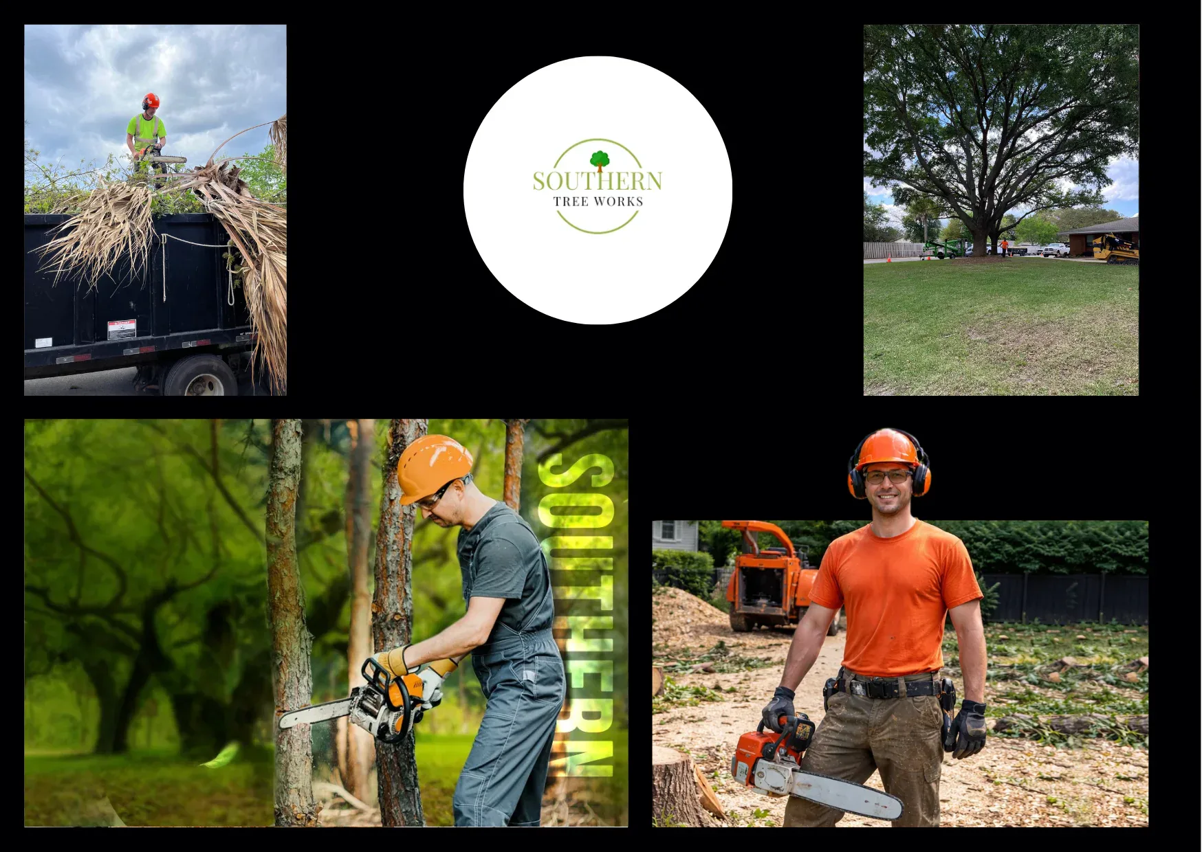 Trusted Tree Cutting Company Near Dothan AL for Safe and Professional Tree Services