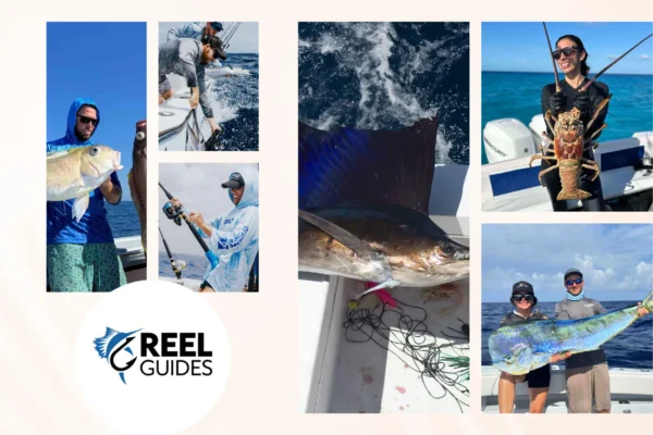 Top Florida Fishing Charters for Unforgettable Angling Adventures