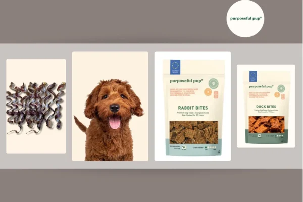 Buy Gourmet Duck Treats in USA | Premium Quality Dog Snacks at PurposefulPupTreats.com