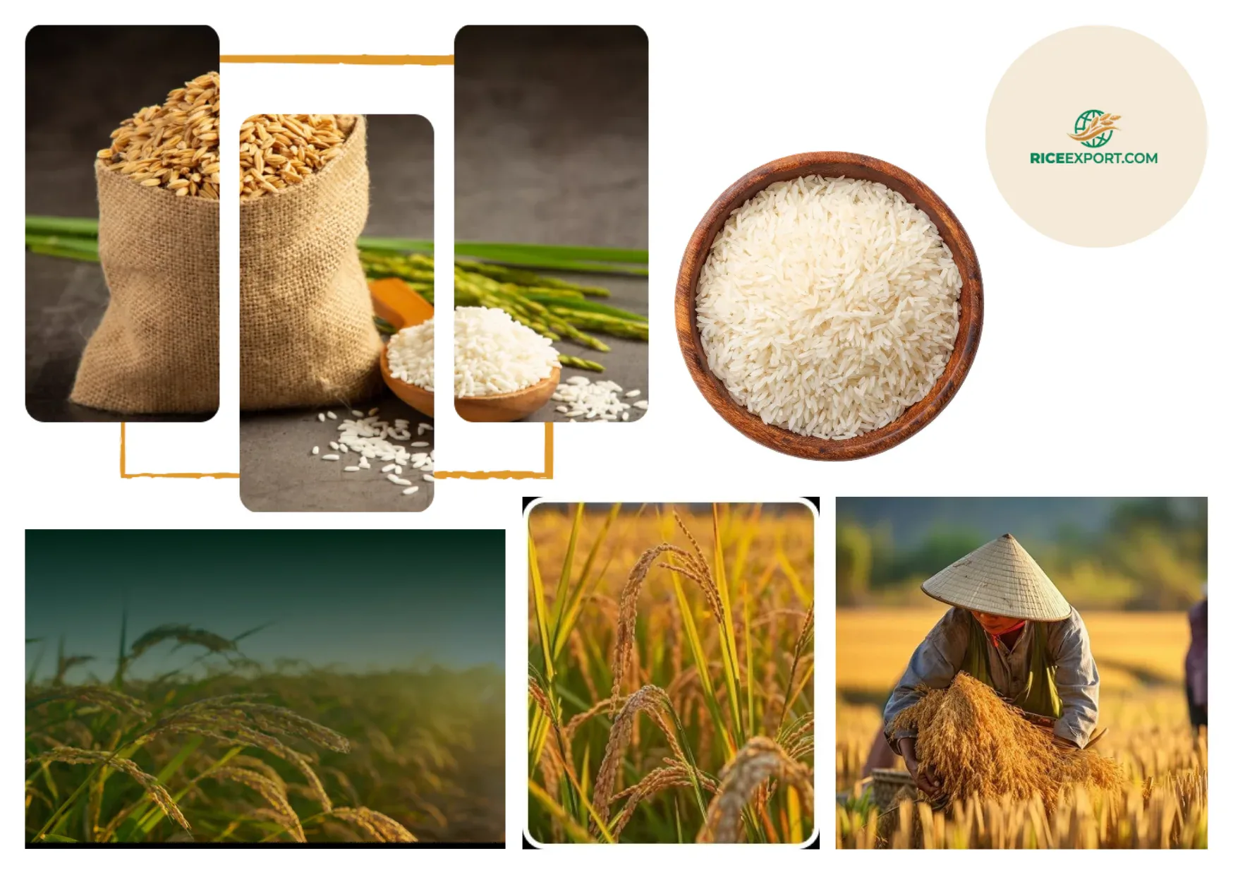 Top Rice Wholesalers in Lagos Nigeria for Premium Quality and Reliable Supply