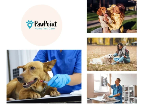 Compassionate Vets To Go Euthanasia Services for At-Home Pet Care