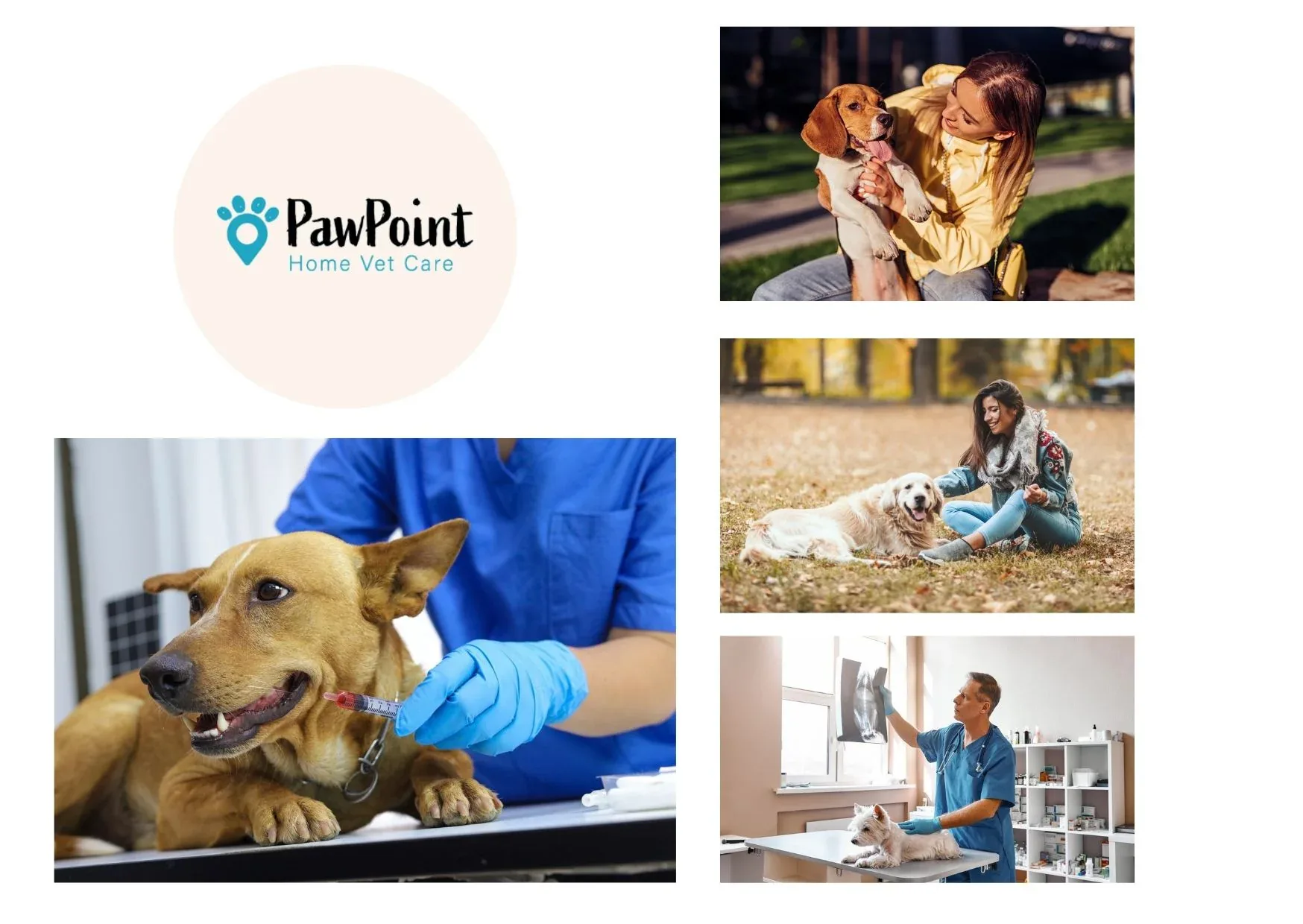 Compassionate Vets To Go Euthanasia Services for At-Home Pet Care