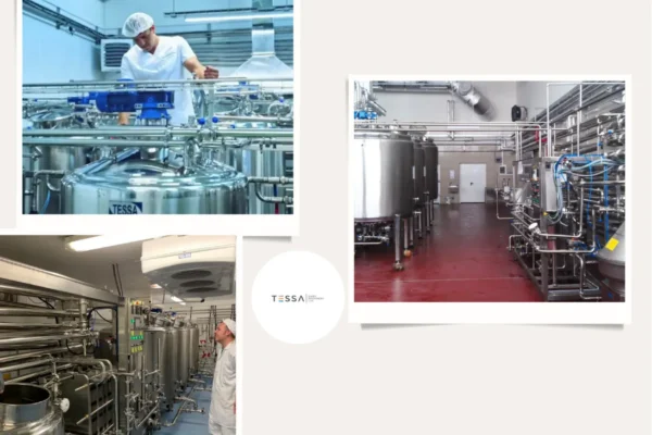 Buy High-Quality Cream Separators for Sale – Efficient Dairy Processing Machines
