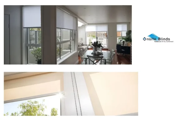 Spotlight Blinds Sizes Guide – Standard and Custom Dimensions Available
