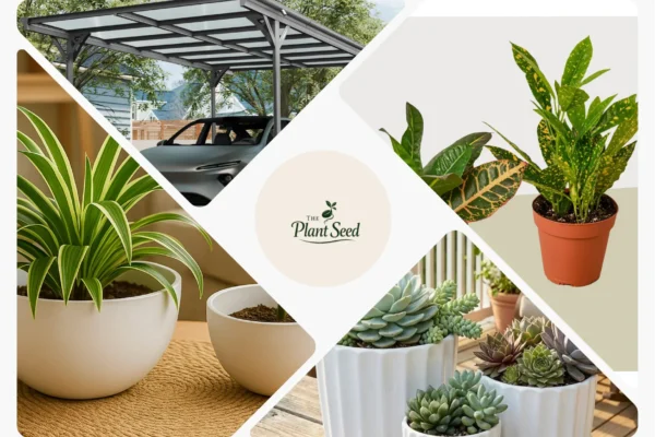 Philodendron Golden Goddess Care Guide – Easy Indoor Plant with Bright Foliage