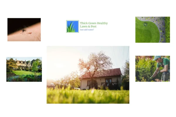 Thick Green Healthy Lawn & Pest Solutions for Vibrant, Pest-Free Yards