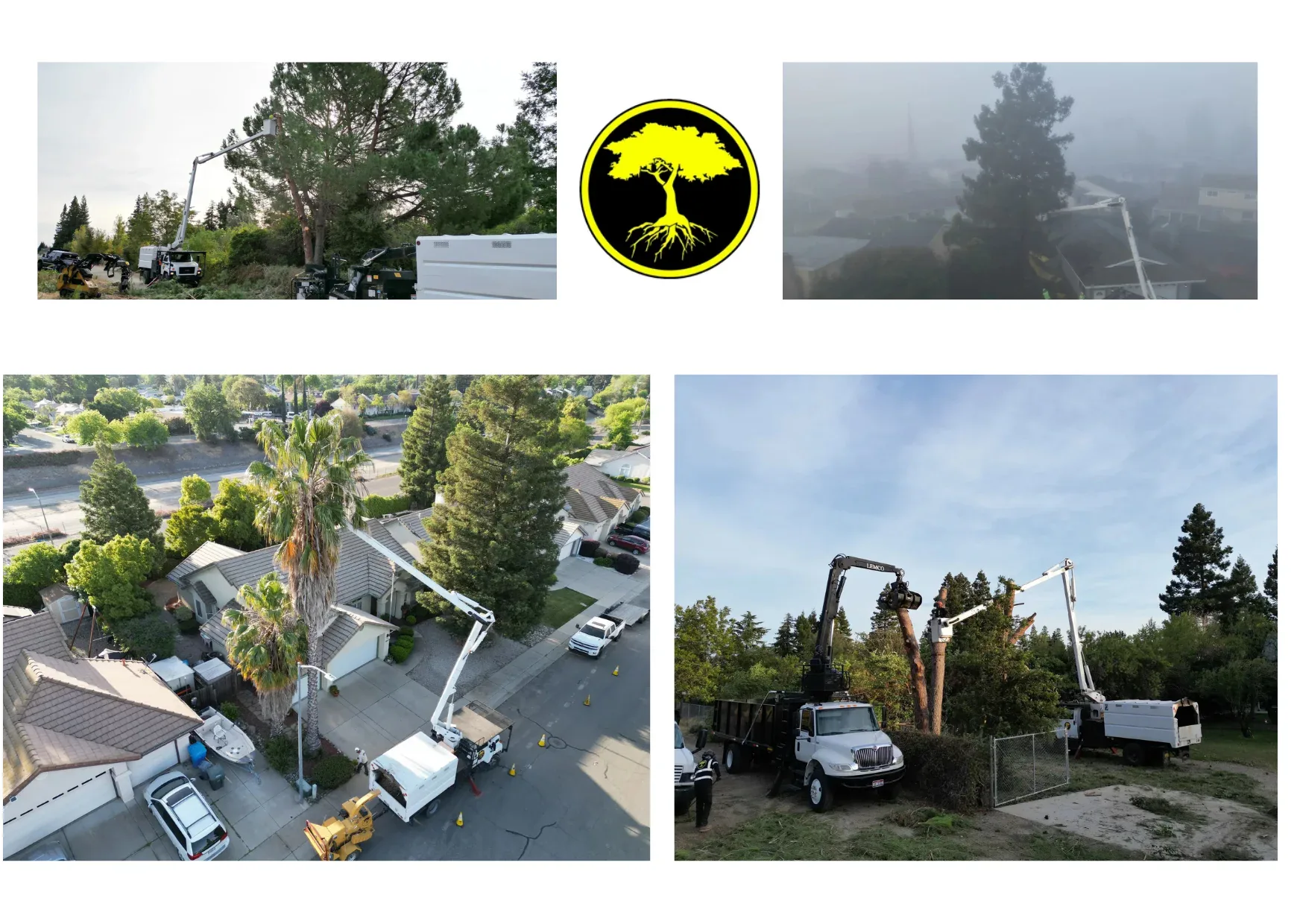 Reliable Green Waste Hauling Services for Eco-Friendly Yard Cleanup