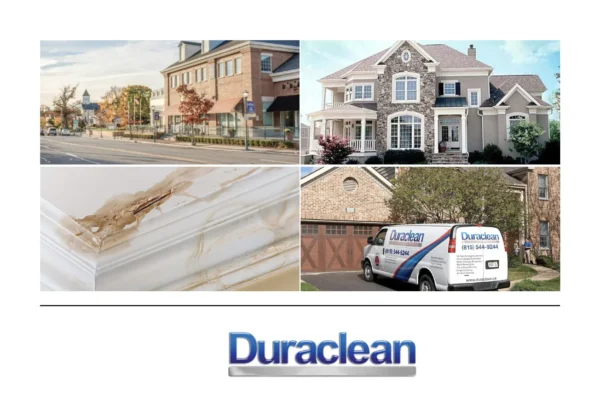 Professional Dryer Vent Cleaning Belvidere for Safer, Efficient Home Dryers