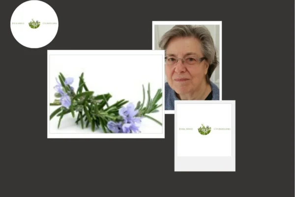 Professional Psychotherapy Services for Emotional Support and Mental Health Improvement