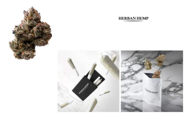 Buy Hemp Online – Premium Quality, Lab-Tested Products with Fast Shipping