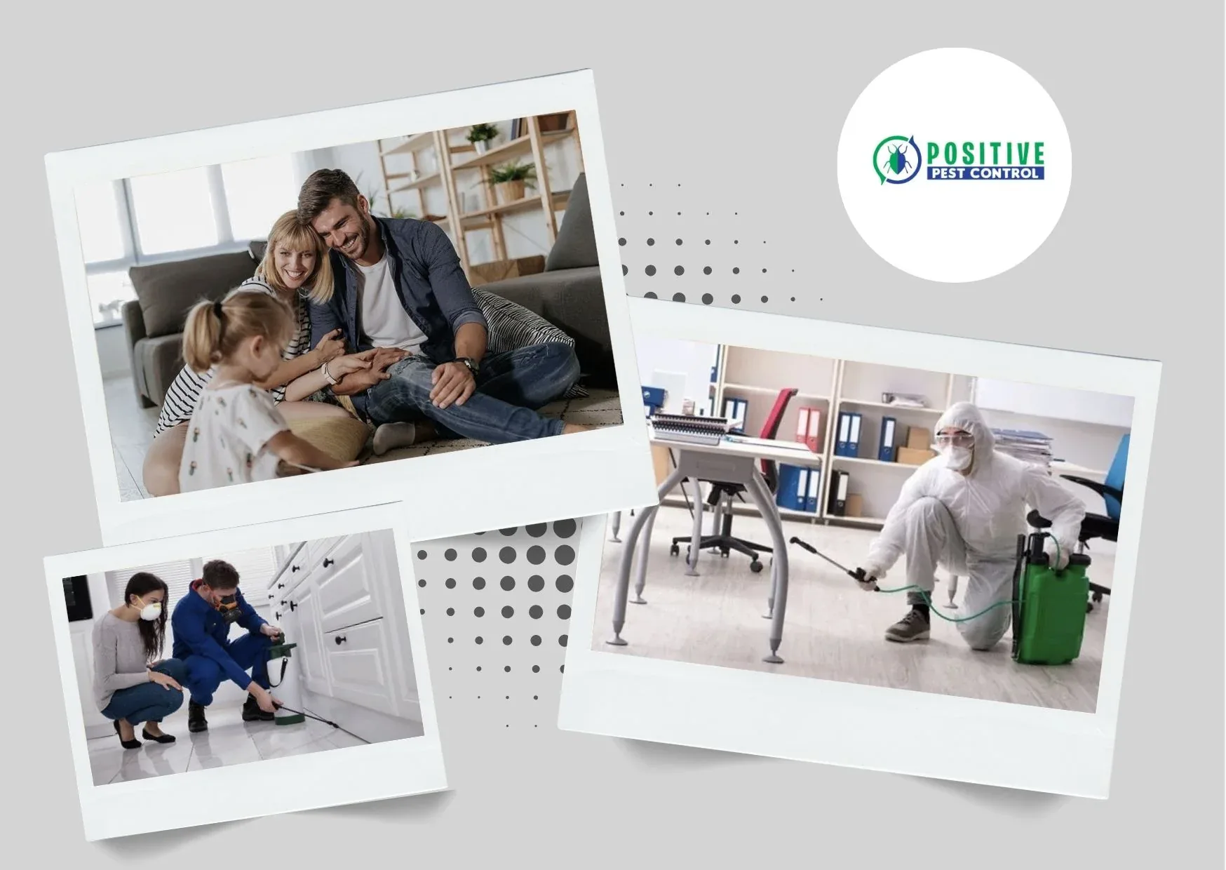 Top Exterminator Calgary Services | Reliable Pest Control Experts