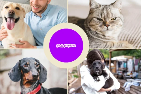 Top Online Dating Sites for Dogs to Find Your Furry Friend’s Perfect Match