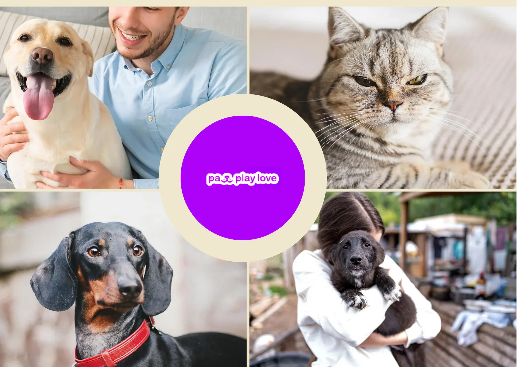 Top Online Dating Sites for Dogs to Find Your Furry Friend’s Perfect Match