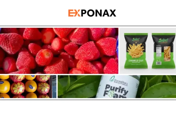 Top Cosmetic Manufacturer Wholesale Suppliers for Global Sourcing and Business Growth