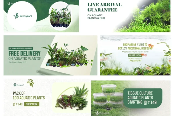 Best Online Aquarium Store for Quality Fish Tanks and Supplies