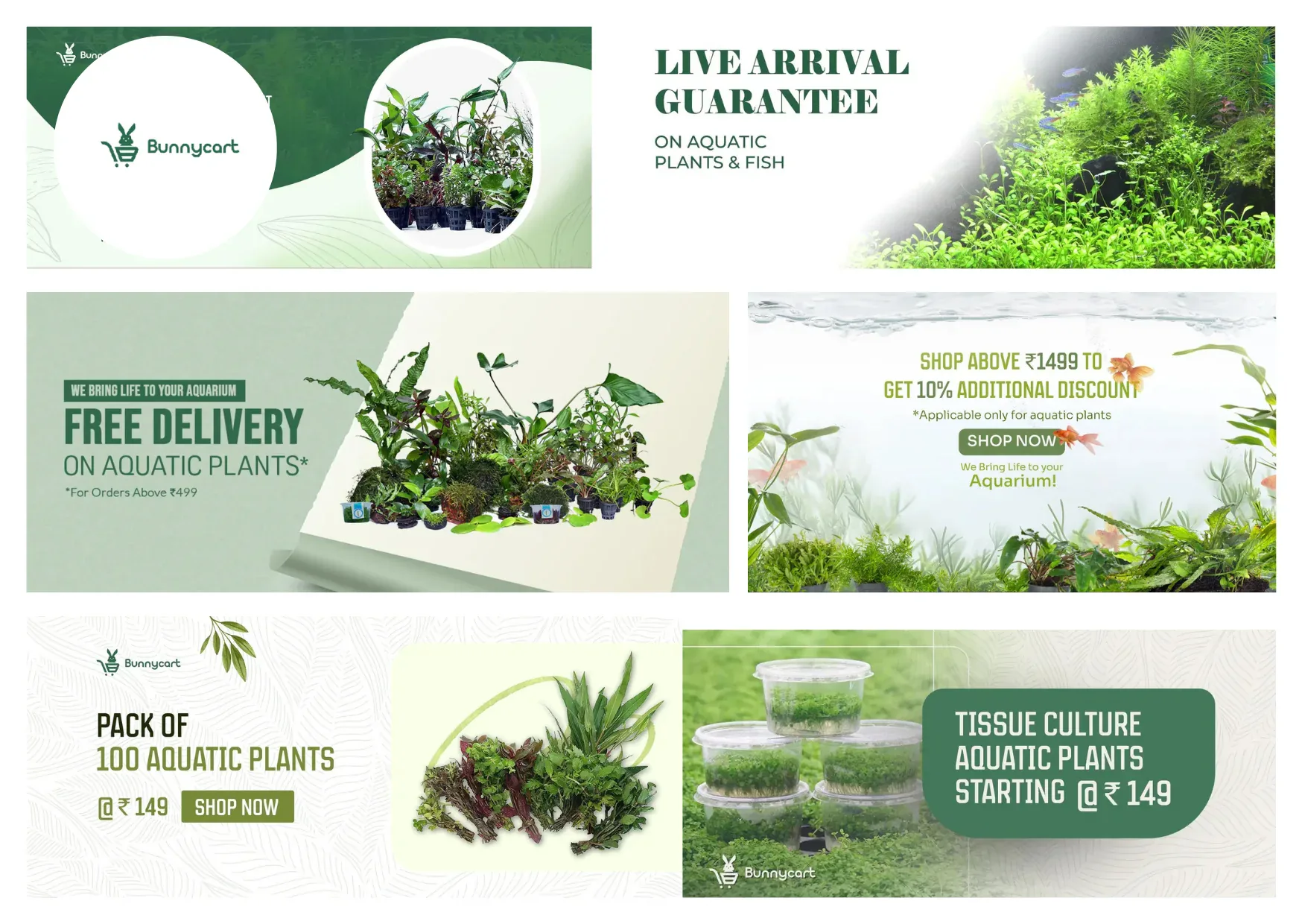 Best Online Aquarium Store for Quality Fish Tanks and Supplies