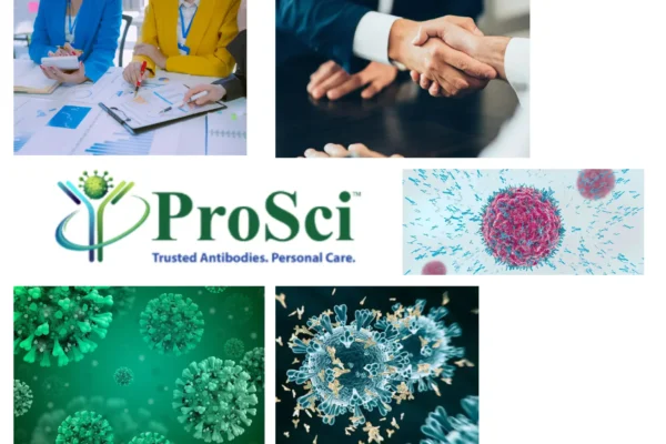 Vaccine Research Antibodies in USA – Reliable Solutions for Advanced Immunology and Biomedical Research