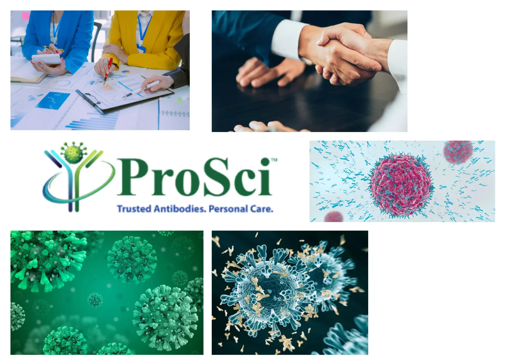 Vaccine Research Antibodies in USA – Reliable Solutions for Advanced Immunology and Biomedical Research