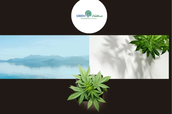 Comprehensive Medical Cannabis Consultation for Natural Health Solutions