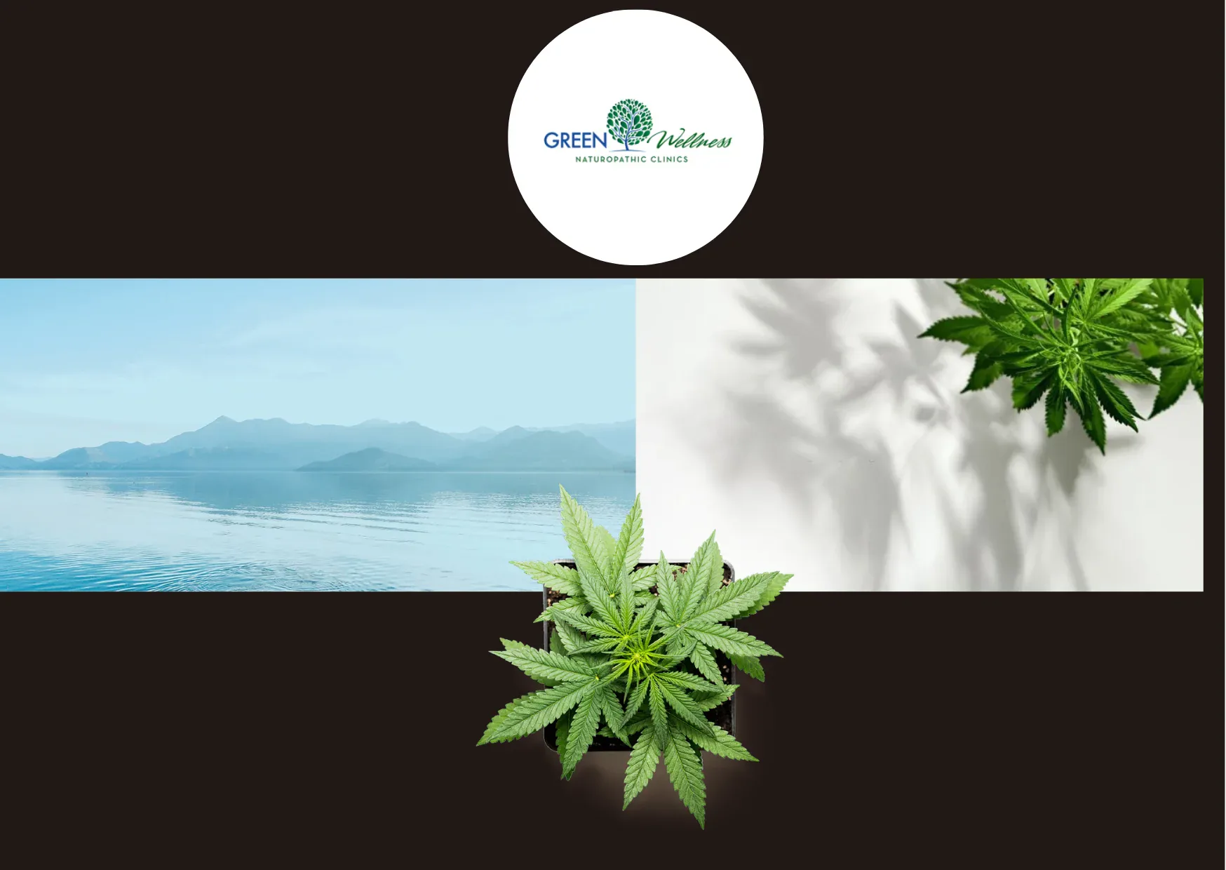 Comprehensive Medical Cannabis Consultation for Natural Health Solutions