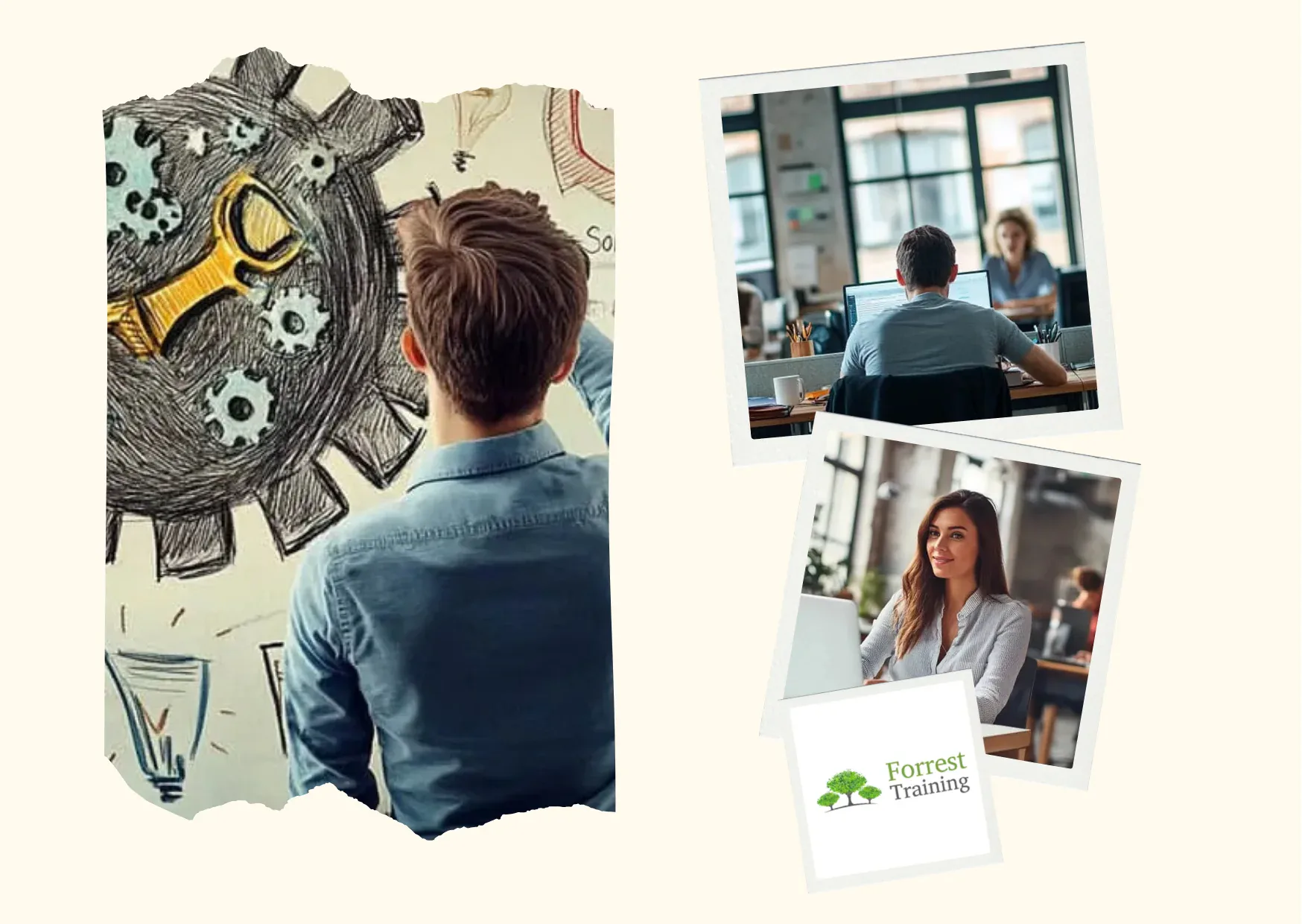 Microsoft 365 Classes for Enhanced Productivity and Workplace Skills at Forresttraining.com.au