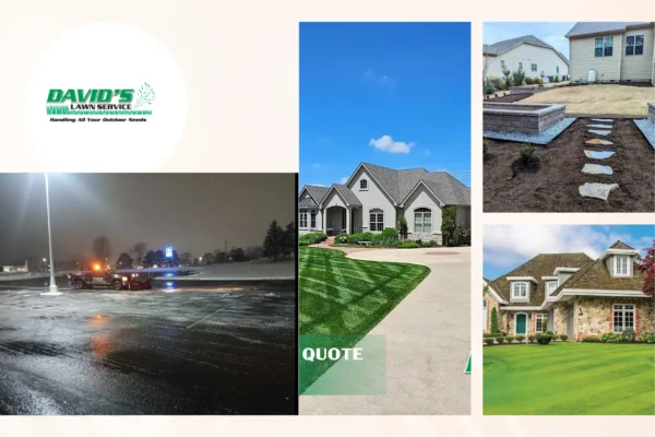 Expert Lawn Care Near Me | Professional Lawn Maintenance & Landscaping Services