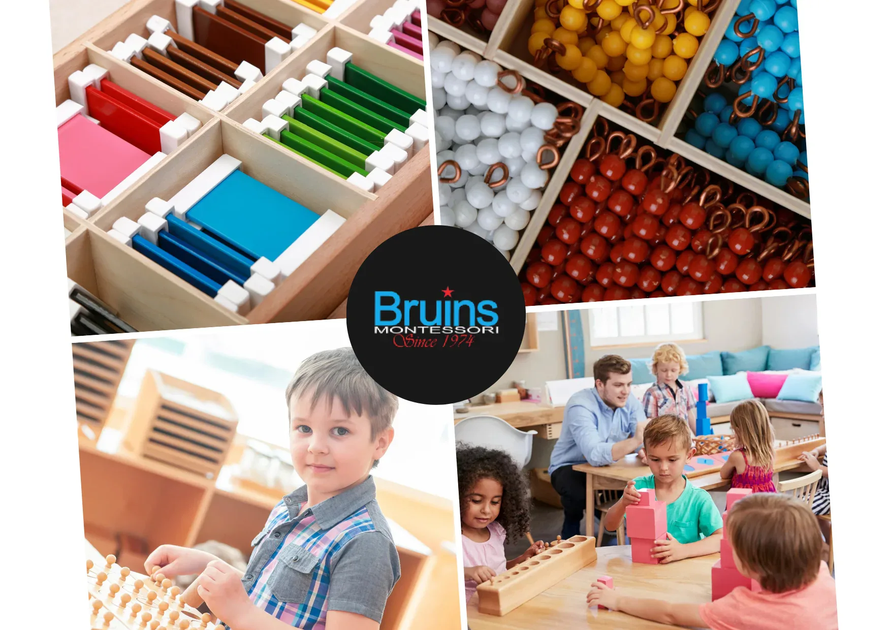 Top Montessori Biology Products USA for Engaging Hands-On Learning