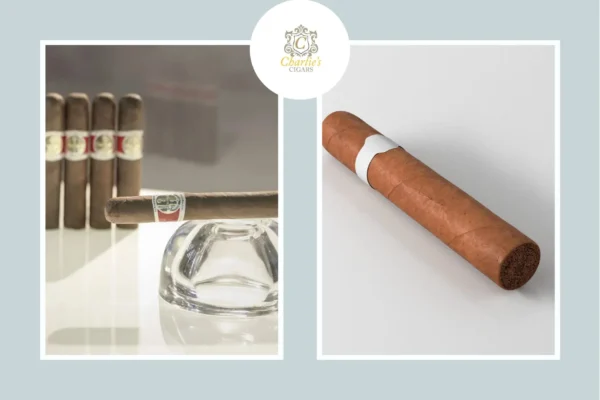 Top Best Premium Cigars for Luxury and Rich Flavor in 2024