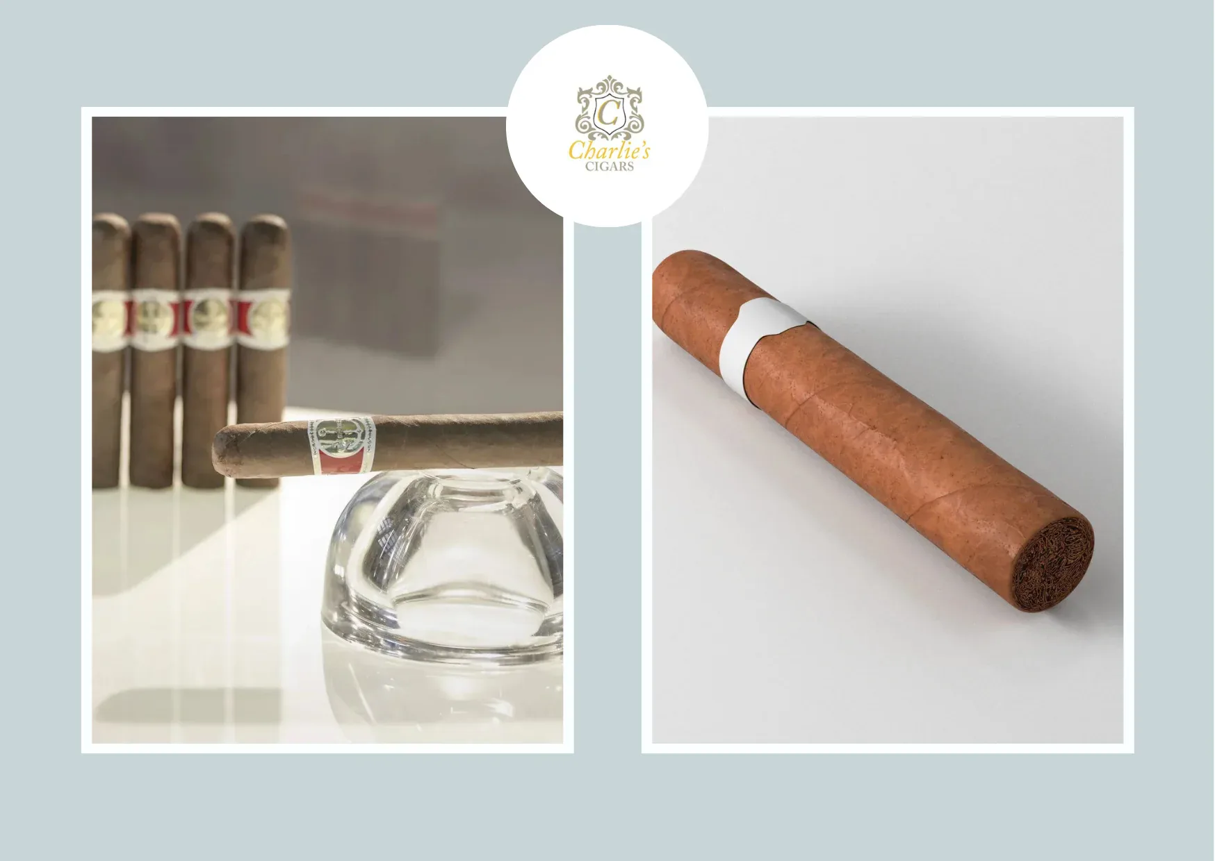 Top Best Premium Cigars for Luxury and Rich Flavor in 2024