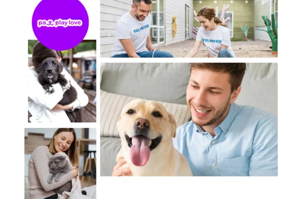 Find Kitten Play Dates Near Me – Connect with Local Furry Friends Today
