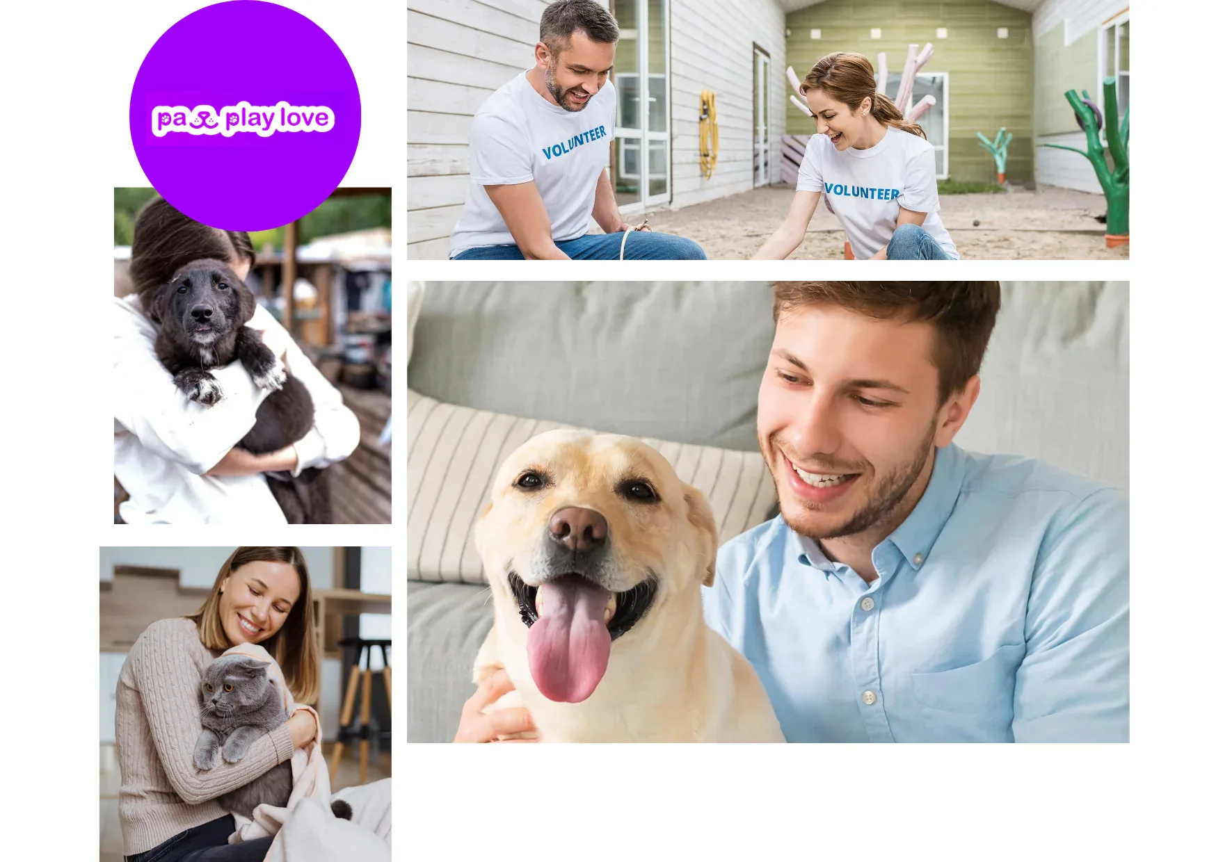 Find Kitten Play Dates Near Me – Connect with Local Furry Friends Today
