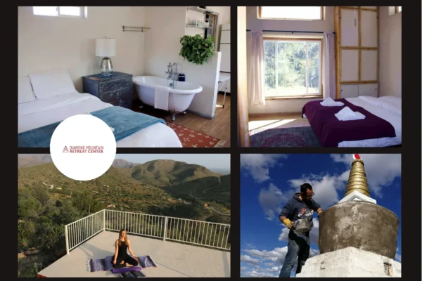 Ultimate Solo Wellness Retreat in Arizona for Mind, Body, and Spirit Renewal