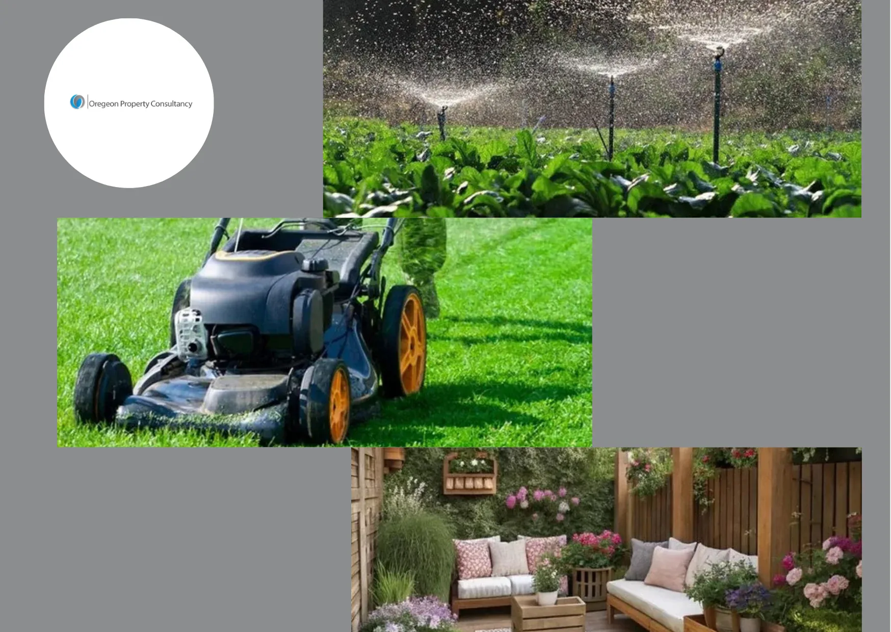Expert Garden Maintenance Services Dubai | Villa Landscaping & Irrigation Care