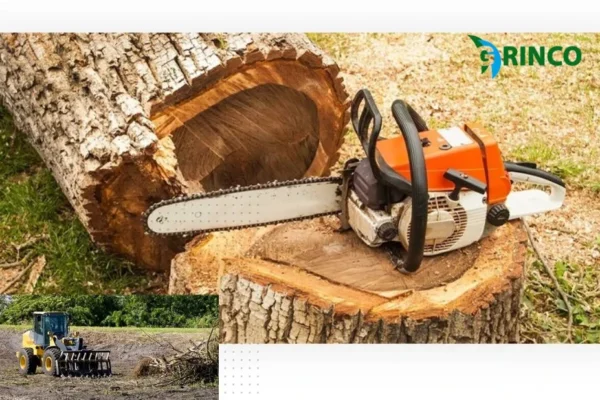 Expert Stump Removal Altona Services for Clean and Safe Gardens