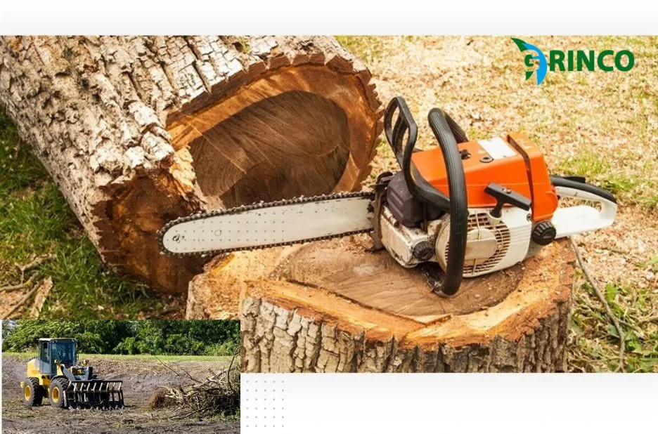 Expert Stump Removal Altona Services for Clean and Safe Gardens