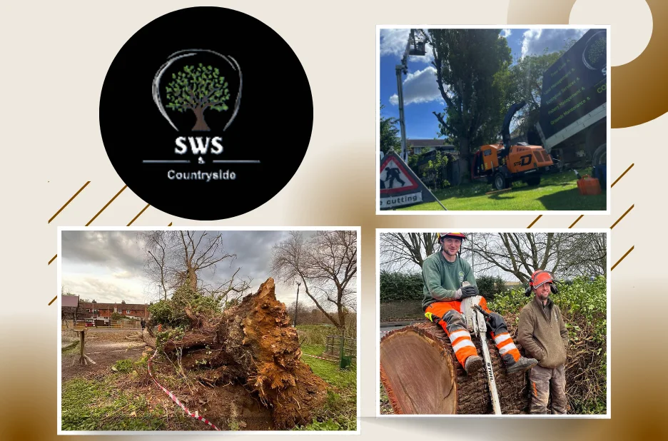 Expert Arborist Maidstone Kent for Professional Tree Care and Land Management