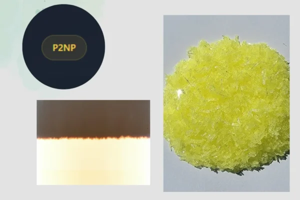 P2np Europe: Reliable Solutions for Large-Scale Procurement and Seamless Service