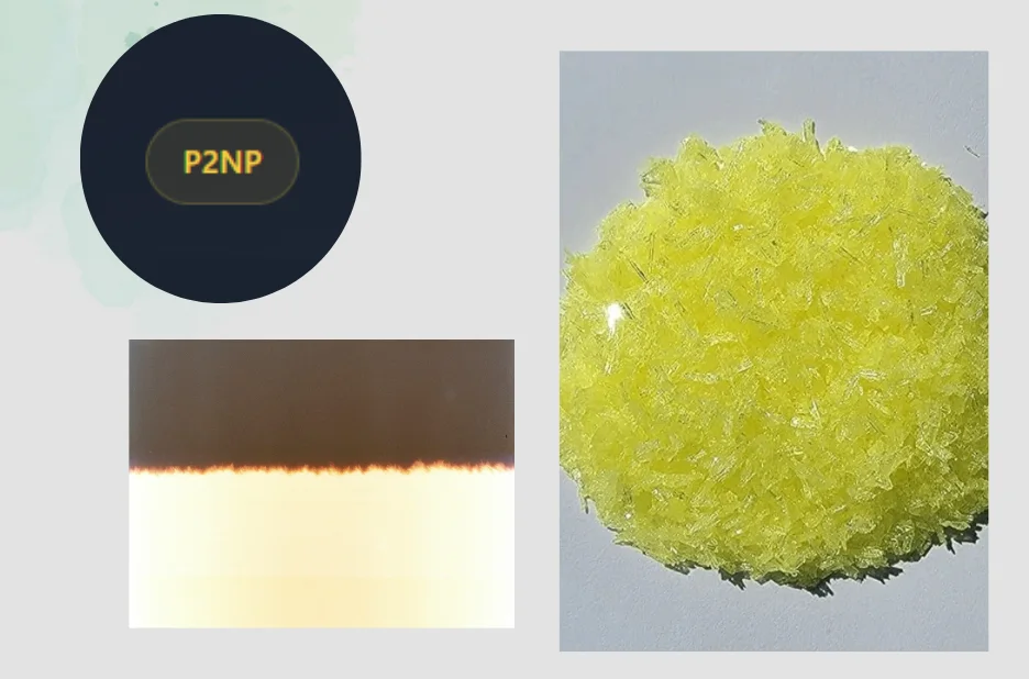 P2np Europe: Reliable Solutions for Large-Scale Procurement and Seamless Service