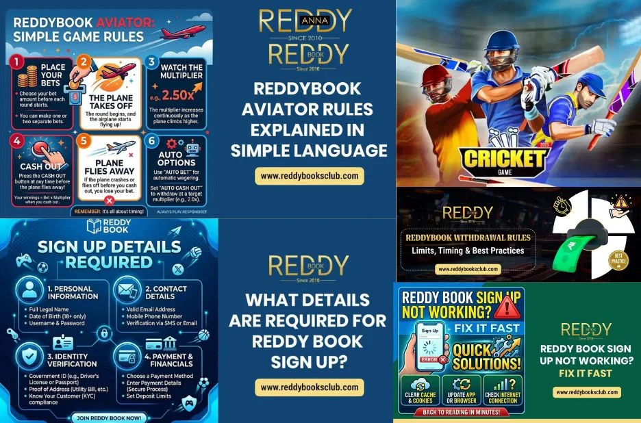 Reddy Book Blue Platform Overview and User Experience Guide