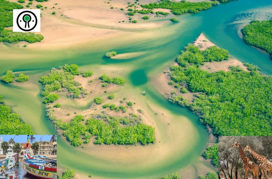 Activités Sénégal : Guide complet des expériences incontournables pour voyageurs et familles