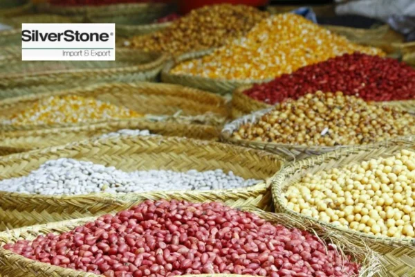 Buy Premium Black Pepper for Sale in Malaysia – Quality Spices Supplier