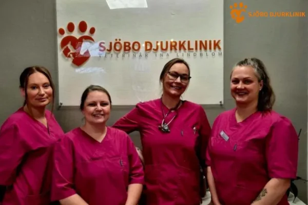 Vaccinera Hund i Simrishamn – Professionell Hundvaccination för Din Fyrbenta Vän