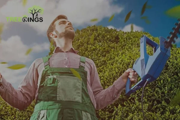 Reliable Stump Removal Service Broadmeadows for Efficient and Safe Outdoor Clearing