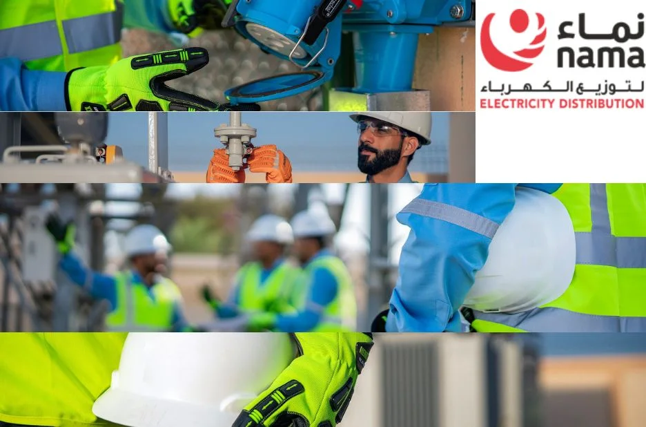 Reliable and Efficient Electricity Distribution Company for Sustainable Energy Solutions